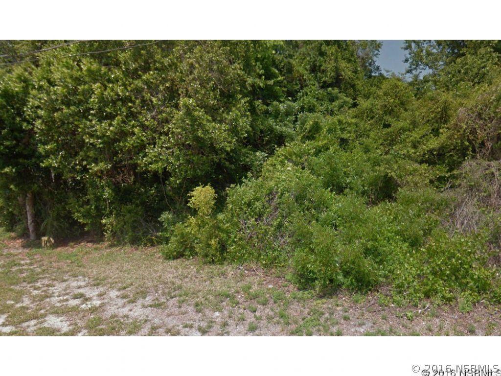 2027 Guava Dr., Edgewater, FL 32141