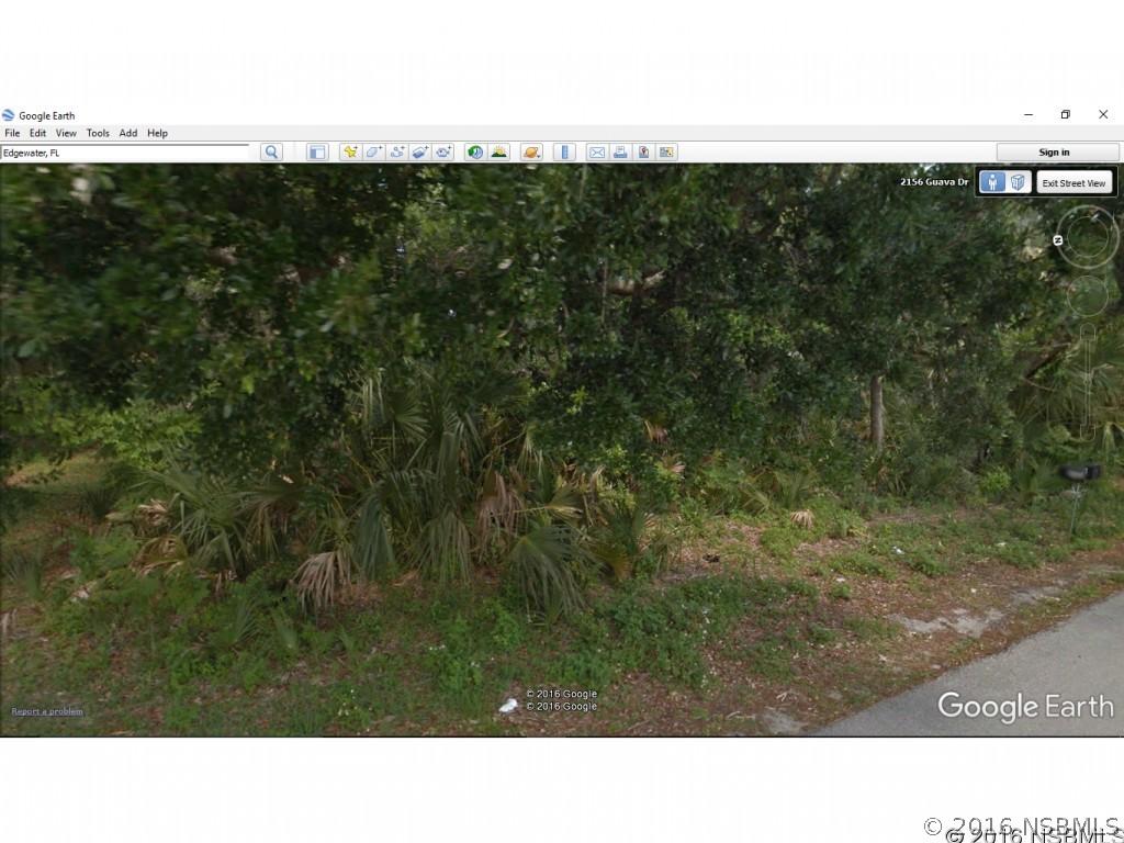 2045 Guava Dr., Edgewater, FL 32141