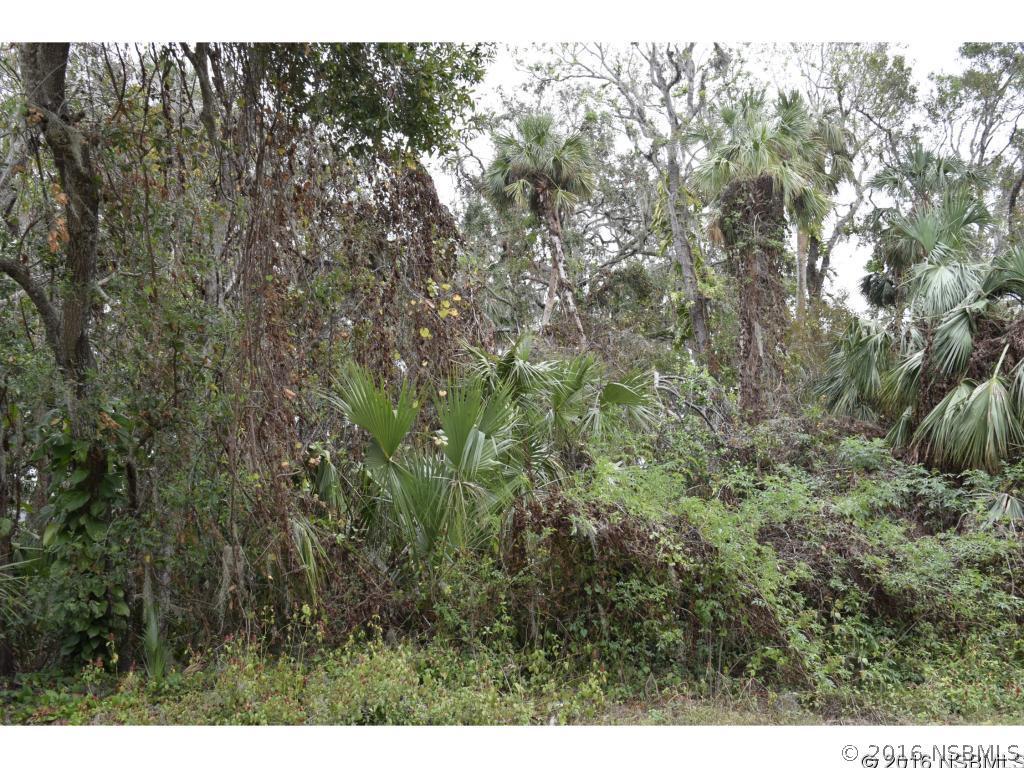 Pine Tree Dr., Edgewater, FL 32141