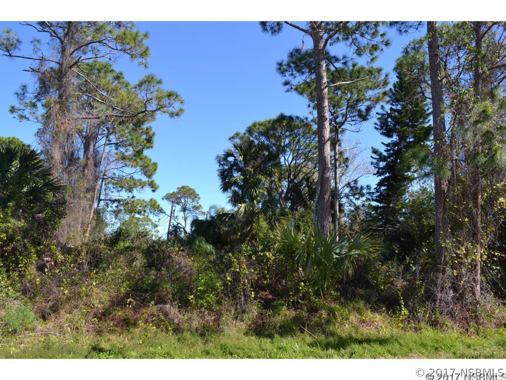 Victory Palm Dr., Edgewater, FL 32141