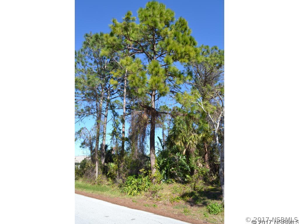 Victory Palm Dr., Edgewater, FL 32141