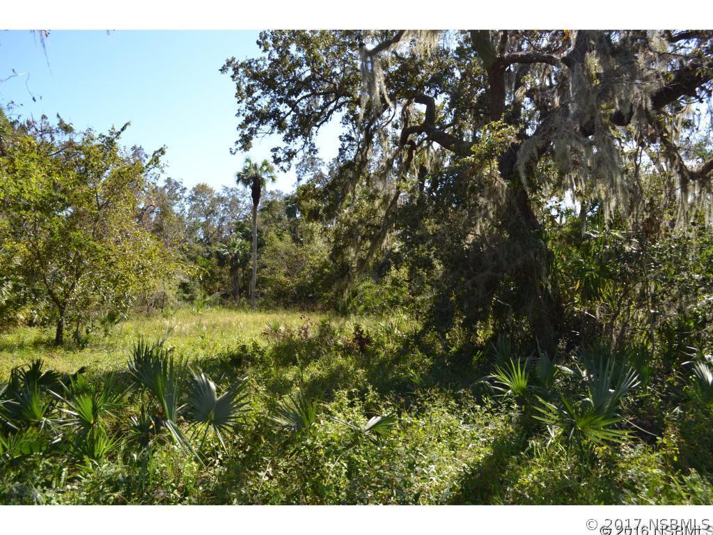 418 W Park Ave., Edgewater, FL 32132