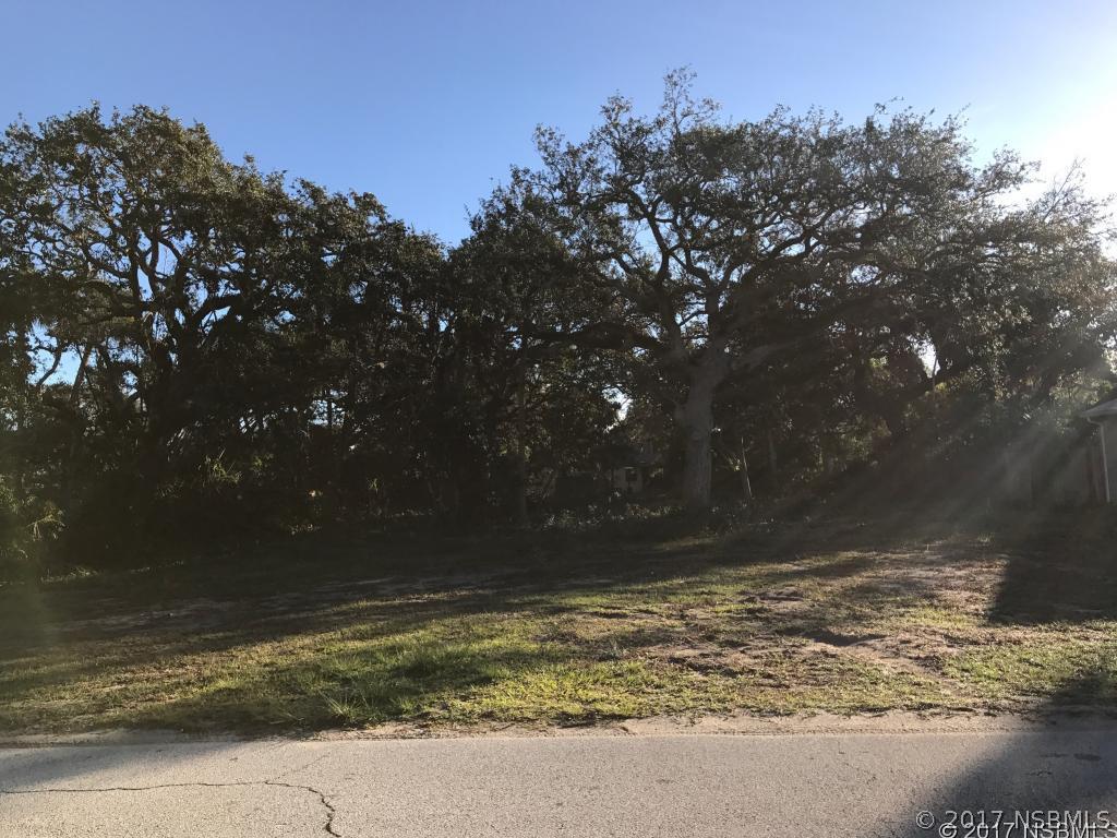 509 S Pine St., New Smyrna Beach, FL 32169