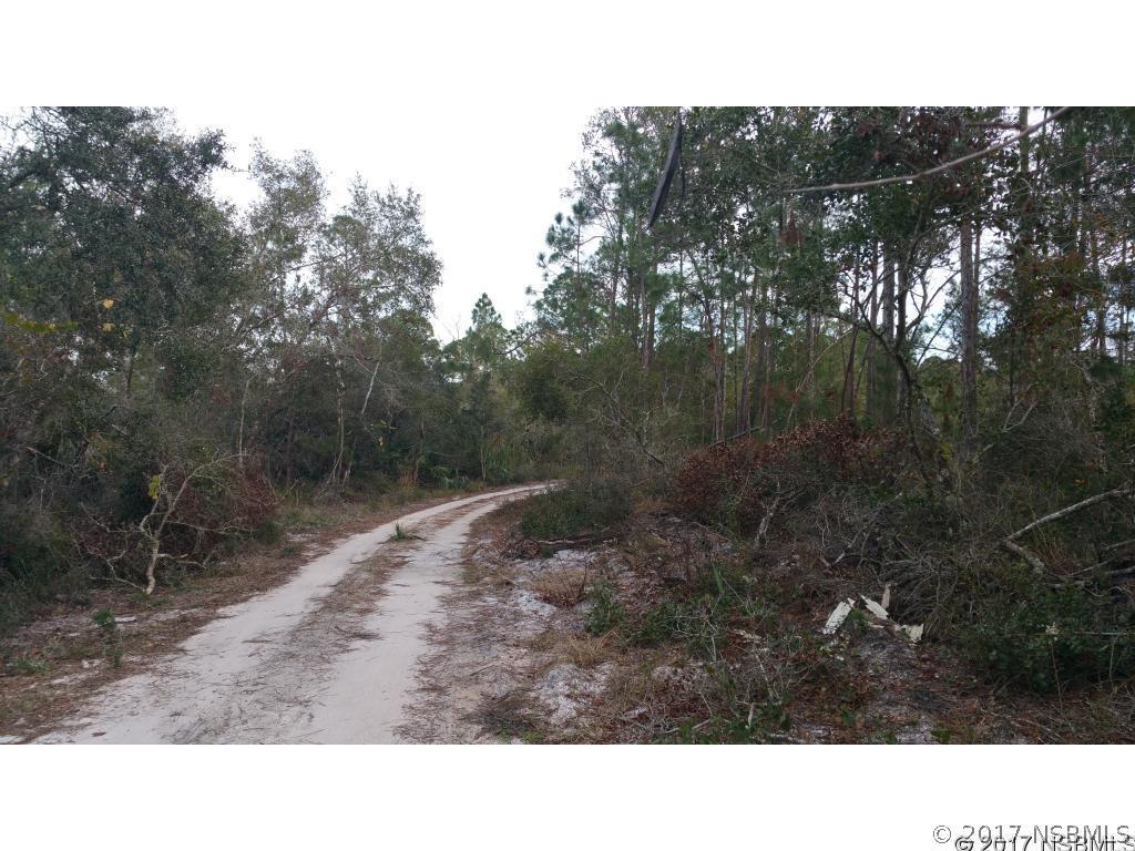 4626 Cow Creek Rd., Edgewater, FL 32141