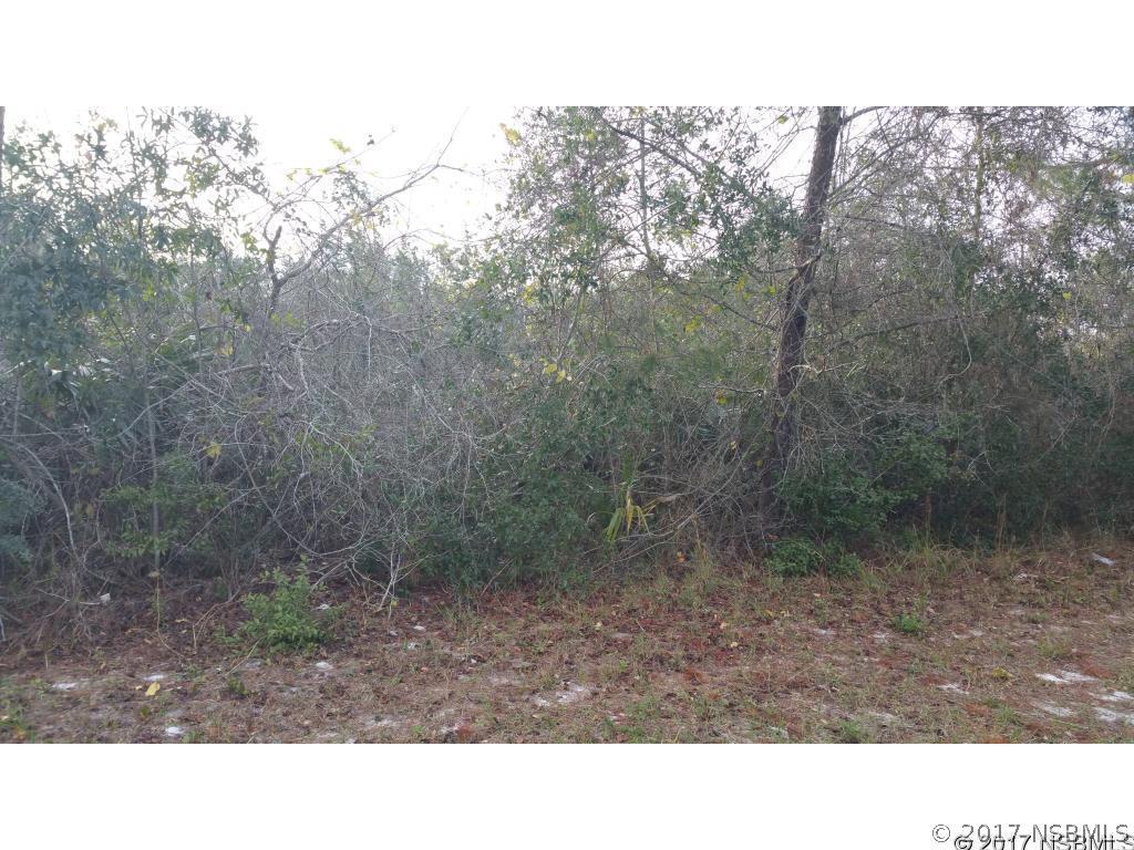 Cow Creek Rd., Edgewater, FL 32141