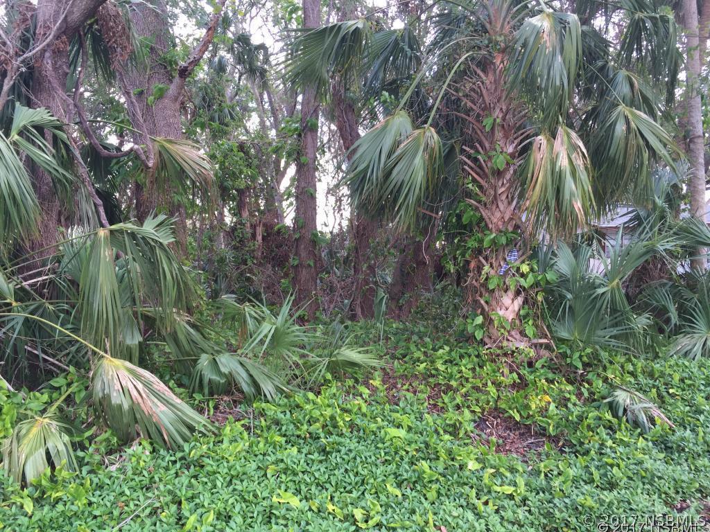 1407 Needle Palm Dr., Edgewater, FL 32132