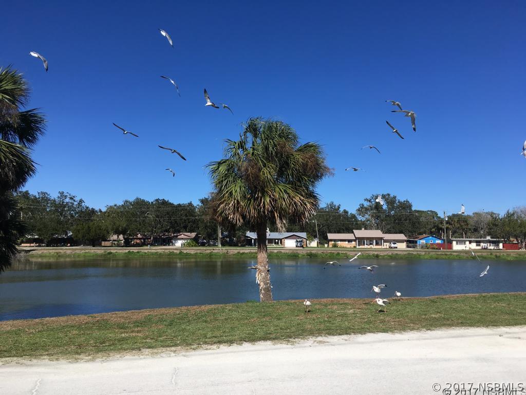 Mango Tree Dr., Edgewater, FL 32141