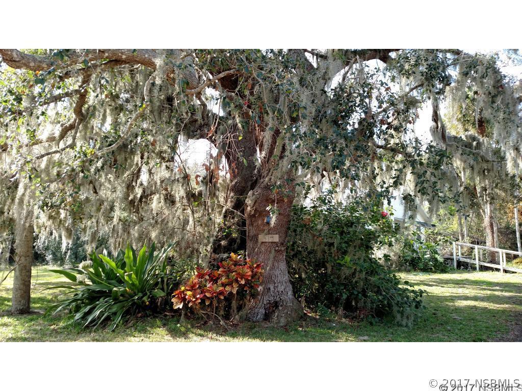 910 Turnbull St., New Smyrna Beach, FL 32168