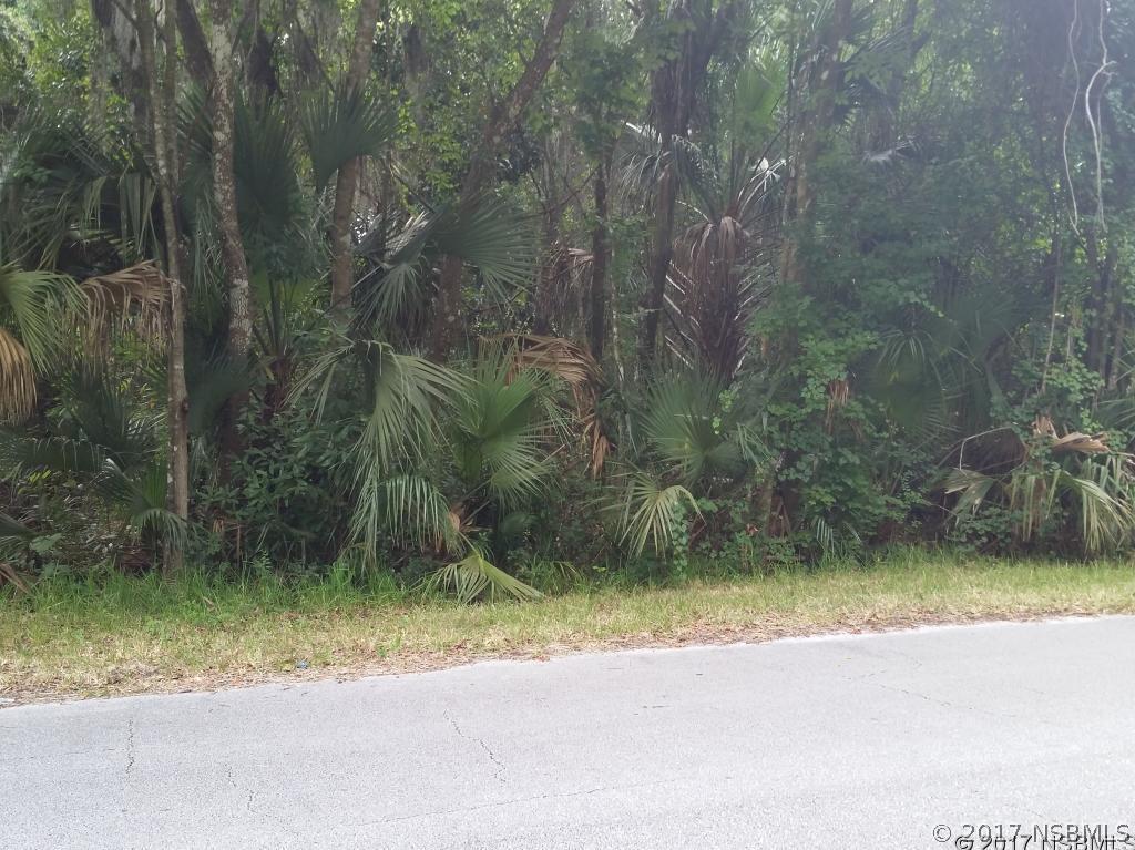 James St., New Smyrna Beach, FL 32168