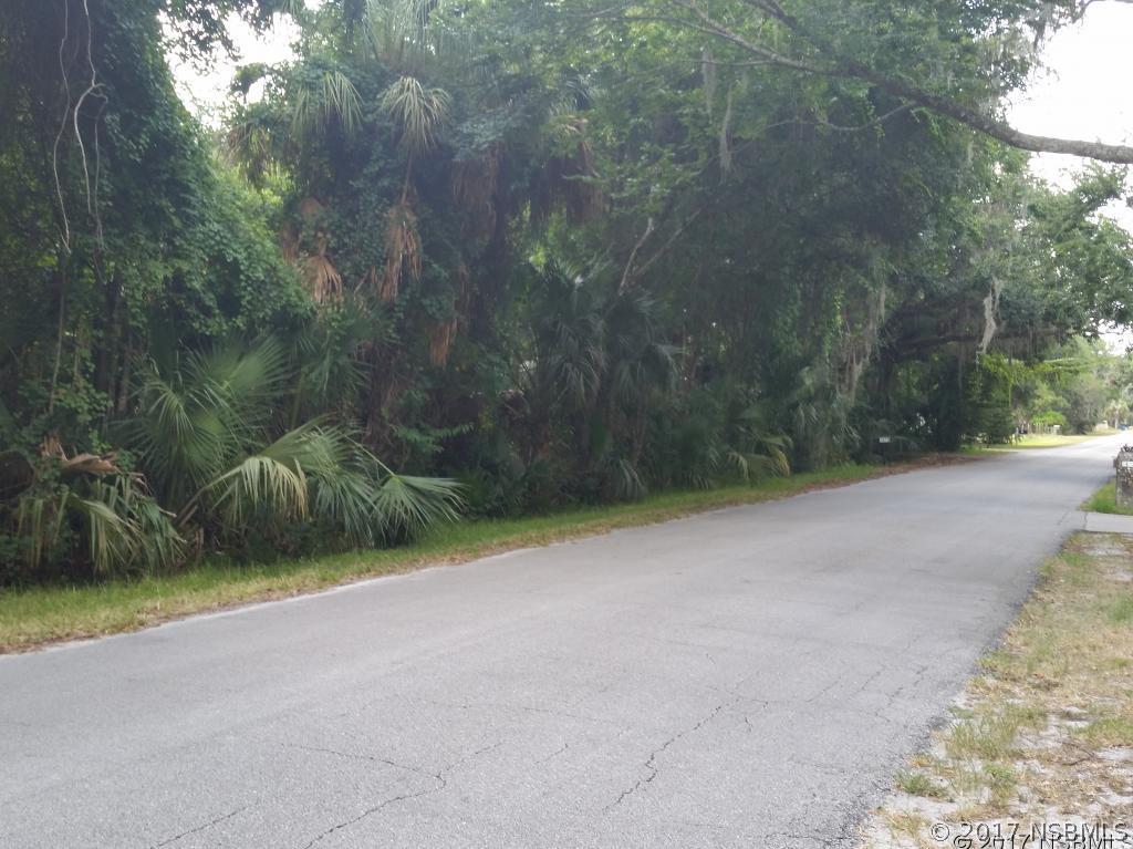 James St., New Smyrna Beach, FL 32168