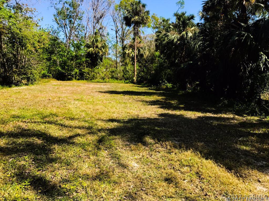 1341 Elizabeth St., New Smyrna Beach, FL 32168