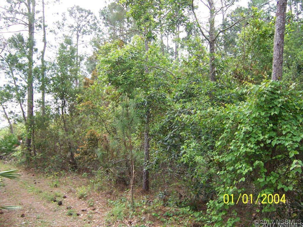[Address Hidden by Seller], New Smyrna Beach, FL 32168