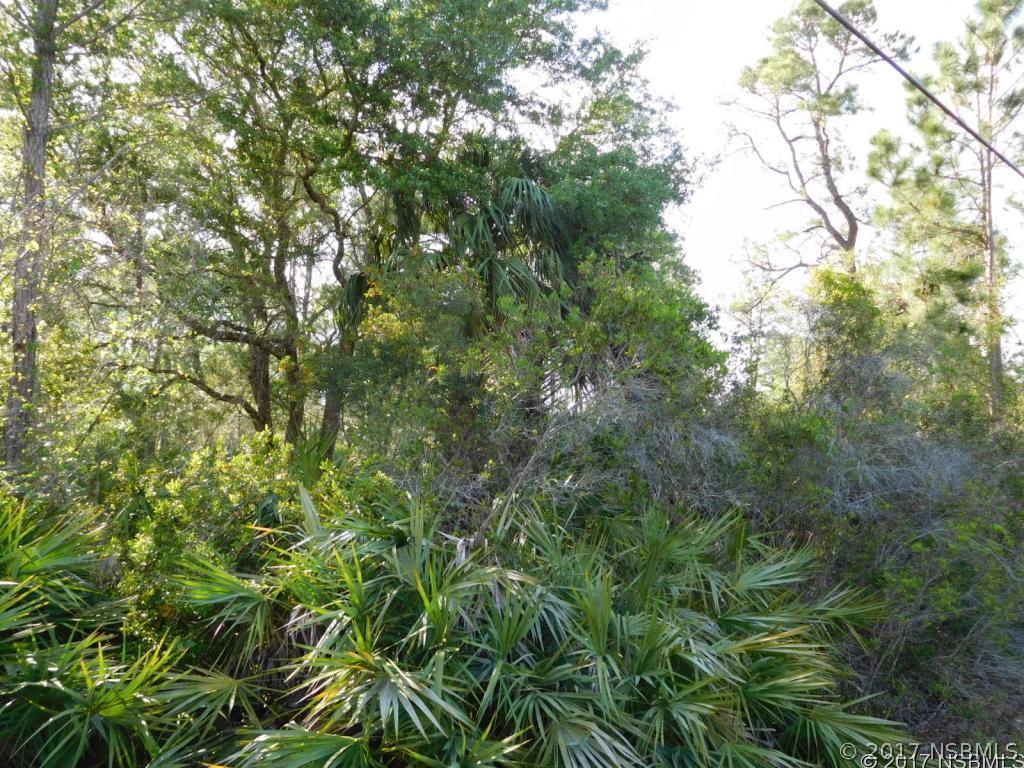 1950 Maytown Rd., Oak Hill, FL 32759
