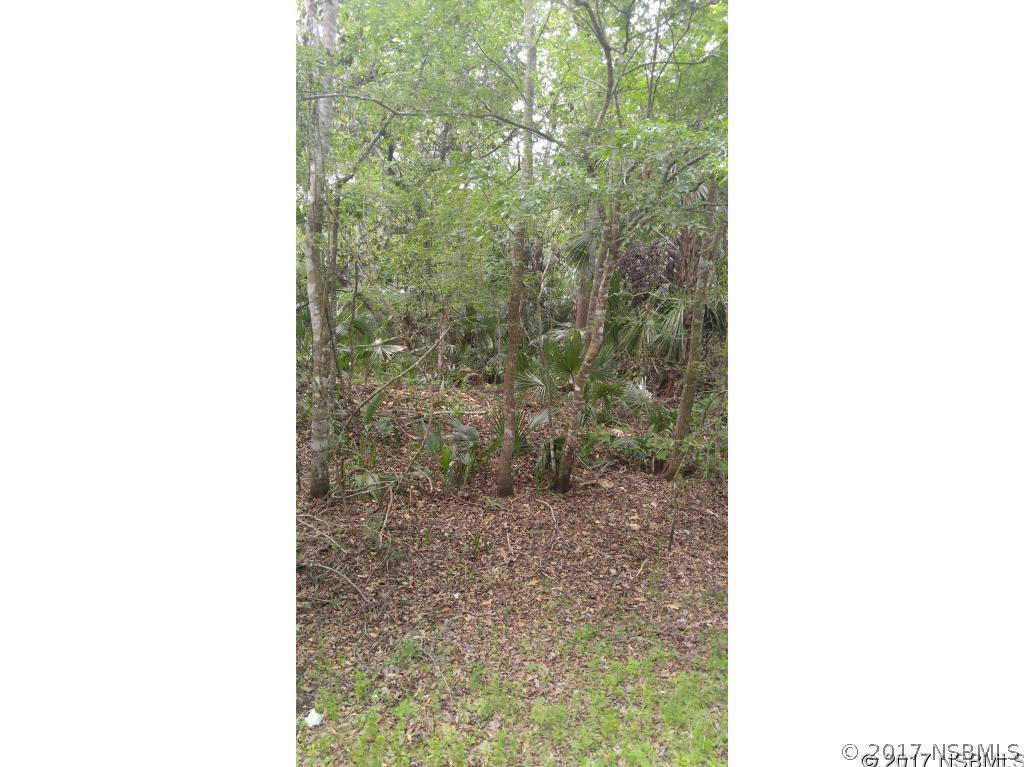 SW Stacey Grove Rd., Oak Hill, FL 32759