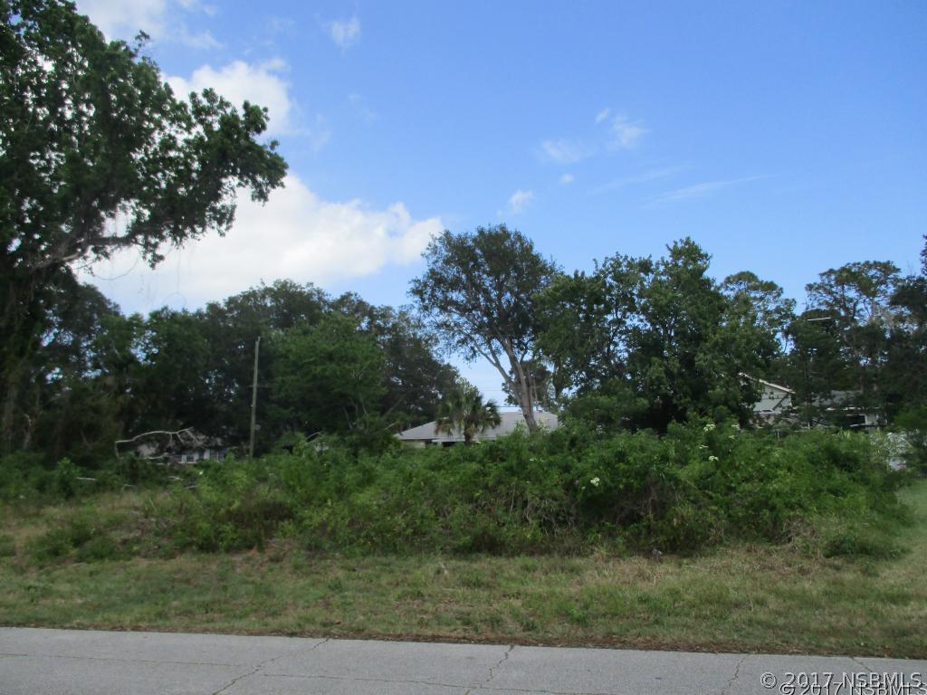 Umbrella Tree Dr., Edgewater, FL 32141
