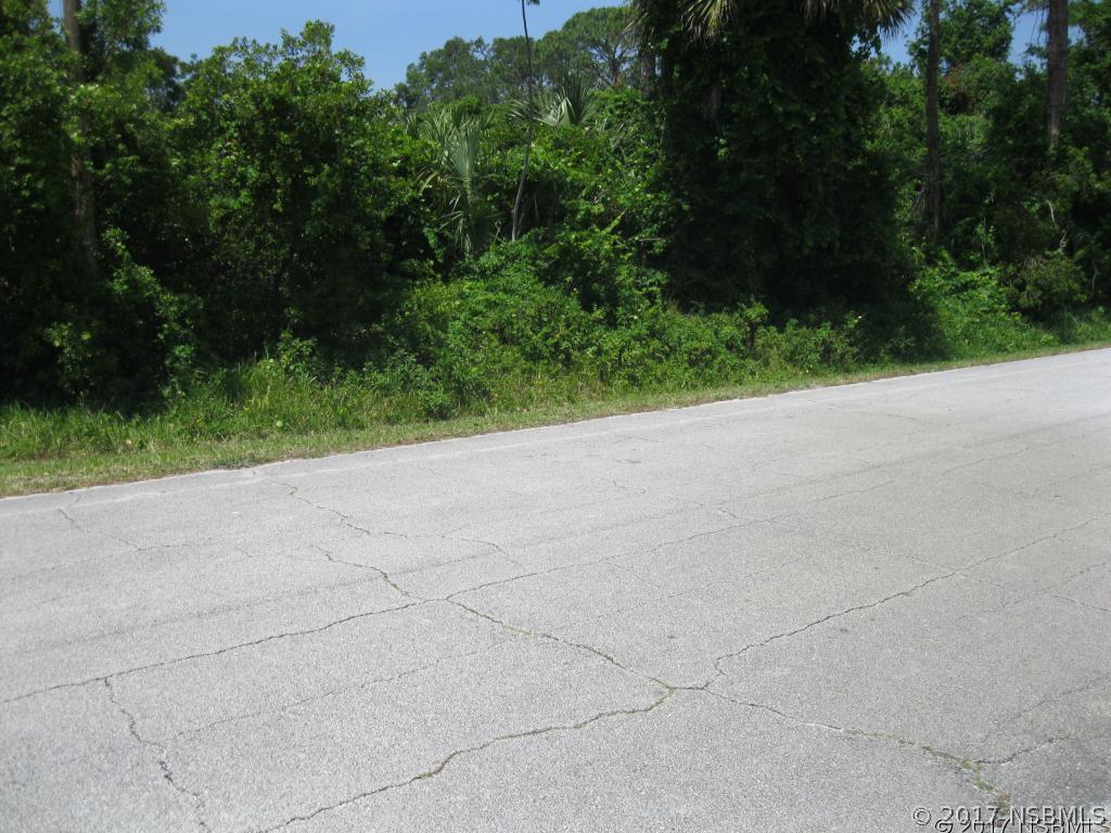 Yule Tree Dr., Edgewater, FL 32141
