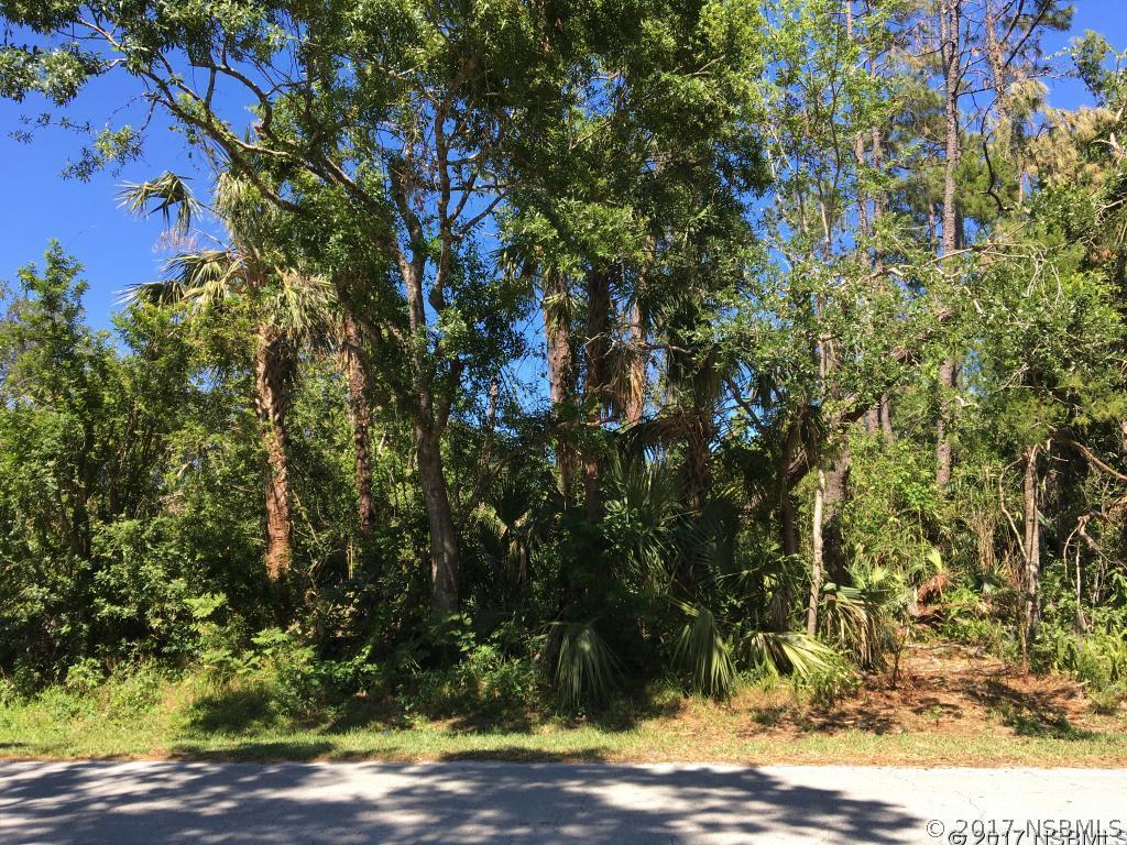 Woodland Dr., Edgewater, FL 32141