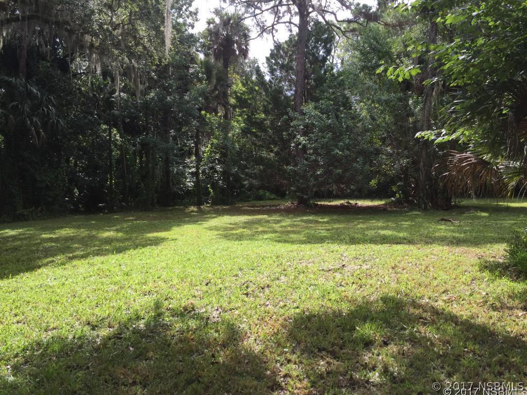 1249 Elizabeth St., New Smyrna Beach, FL 32168