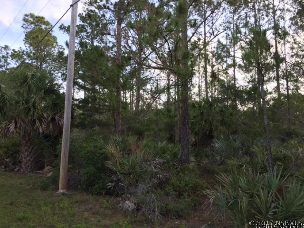 Old Blue Ridge Rd., Edgewater, FL 32141