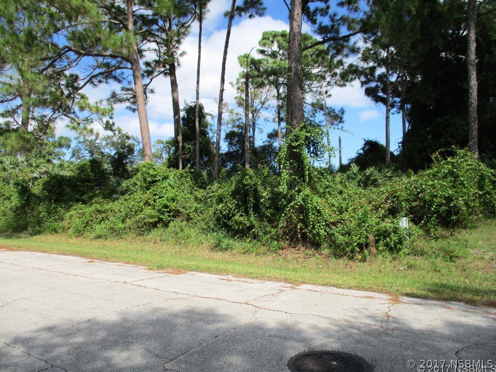 Unity Tree Dr., Edgewater, FL 32141