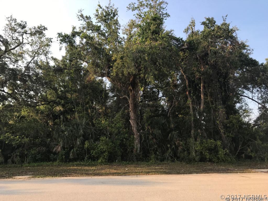 504 Pullman Rd., Edgewater, FL 32132