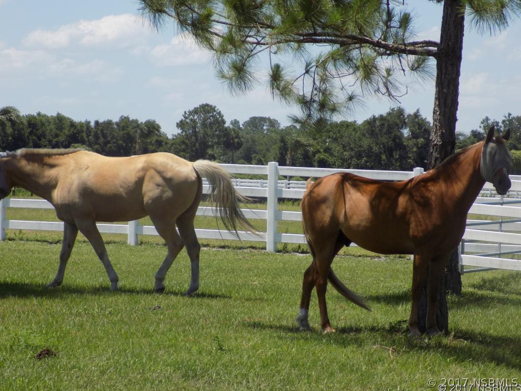 710 Hammett Ln., New Smyrna Beach, FL 32168