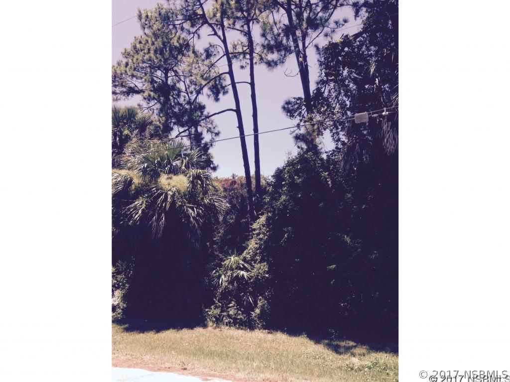 28th St., Edgewater, FL 32141