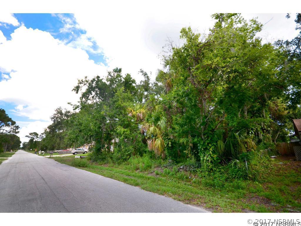 2513 India Palm Dr., Edgewater, FL 32141