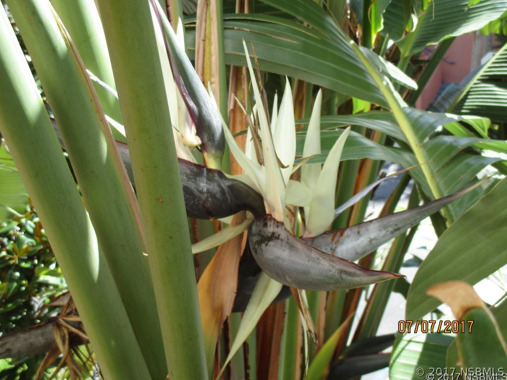 5300 S Atlantic Ave. #10-206, New Smyrna Beach, FL 32169