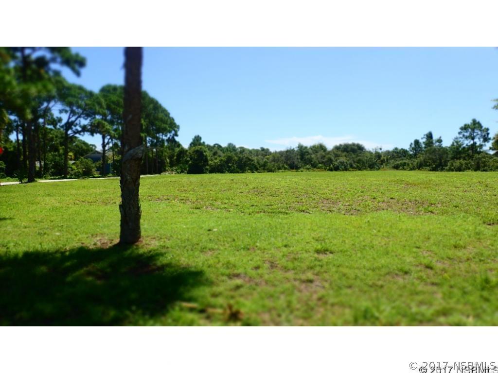 S Ridgewood Ave., South Daytona, FL 32119