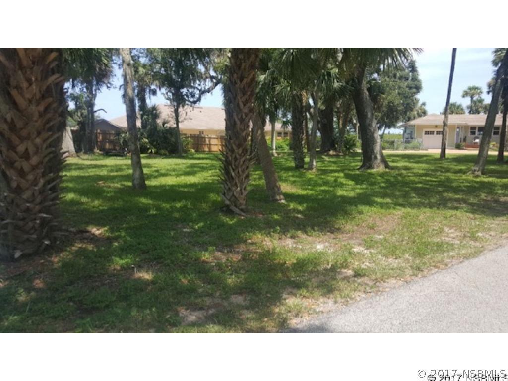 Azalea Cir., New Smyrna Beach, FL 32168
