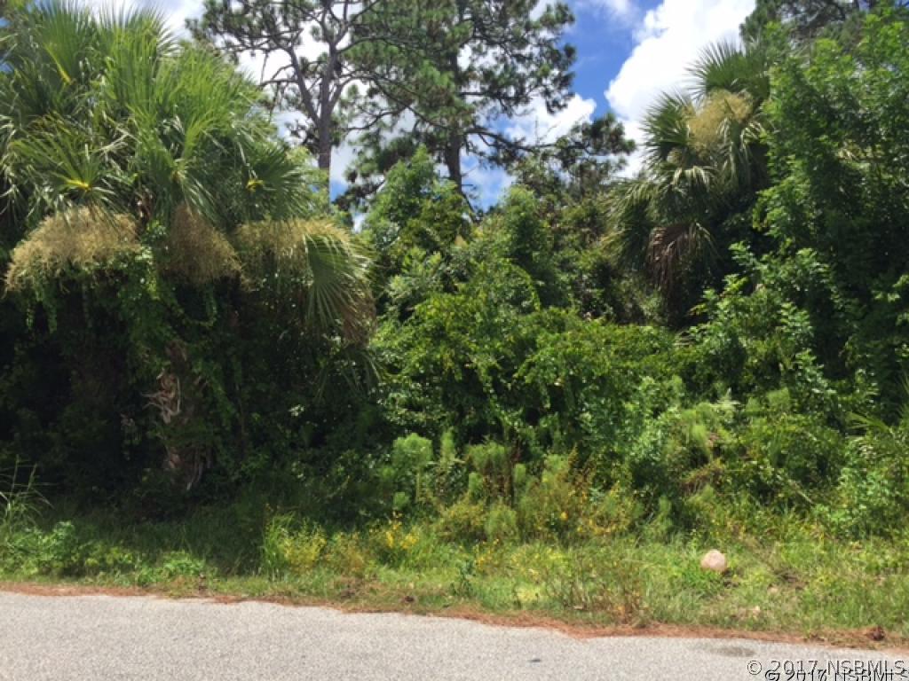 2630 Sabal Palm Dr., Edgewater, FL 32141