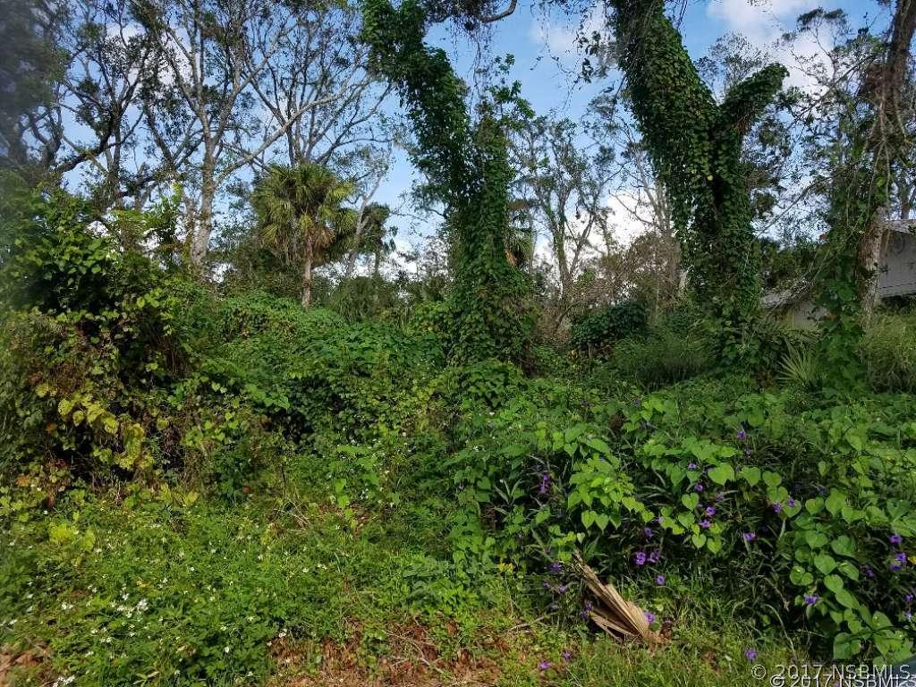 Royal Palm Dr., Edgewater, FL 32141