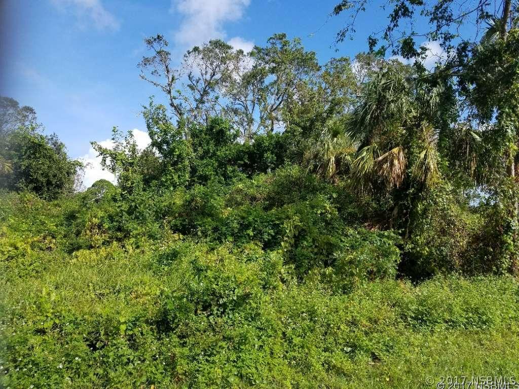 Royal Palm Dr., Edgewater, FL 32141