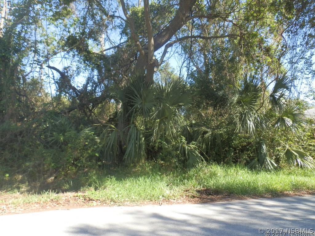 Orange Tree Dr., Edgewater, FL 32141