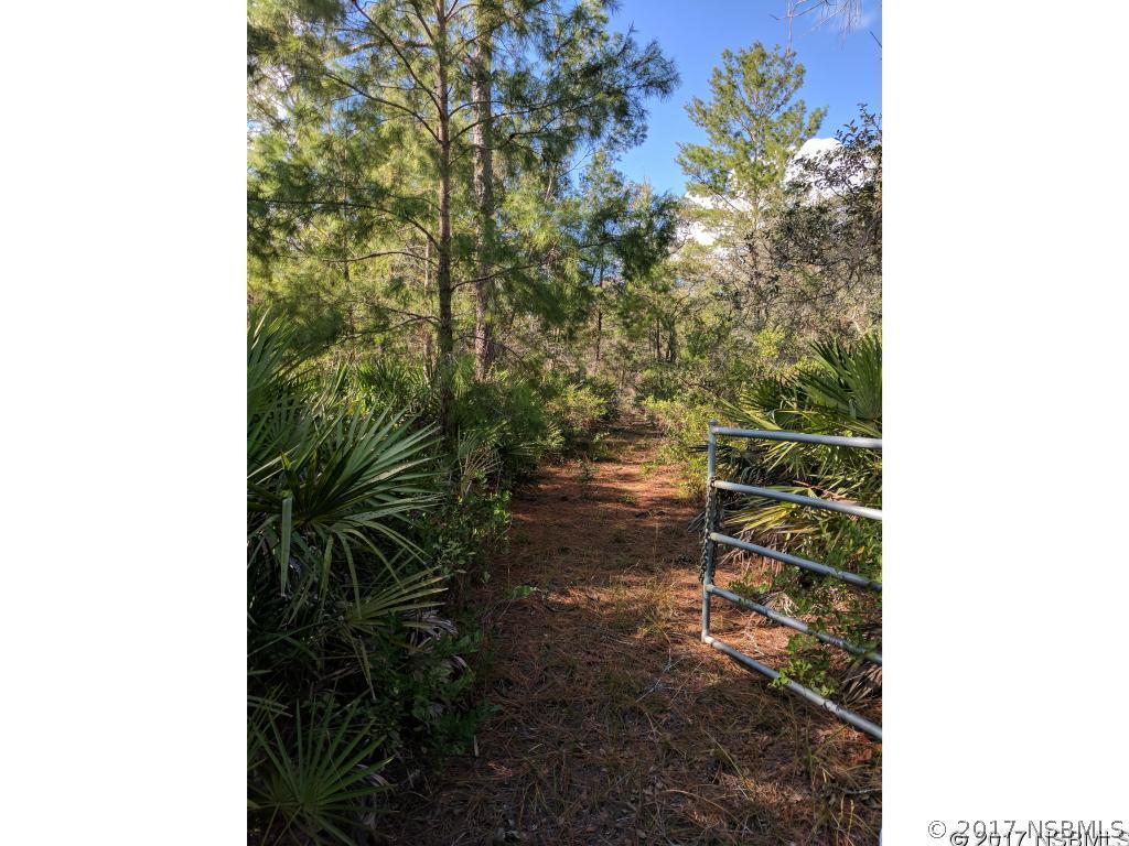 400 Volusian Forest Tr., Pierson, FL 32180