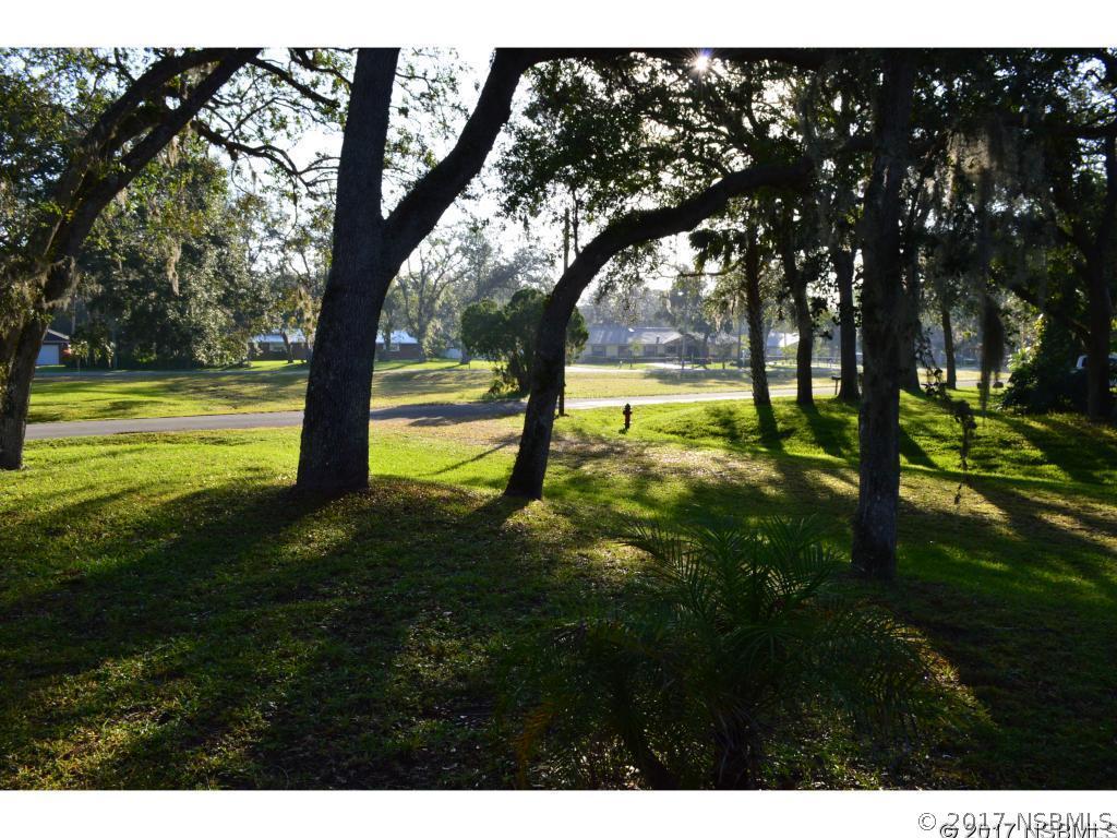 1432 Needle Palm Dr., Edgewater, FL 32132