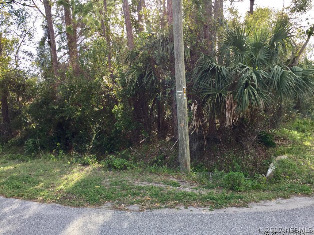 Hamilton St., New Smyrna Beach, FL 32168