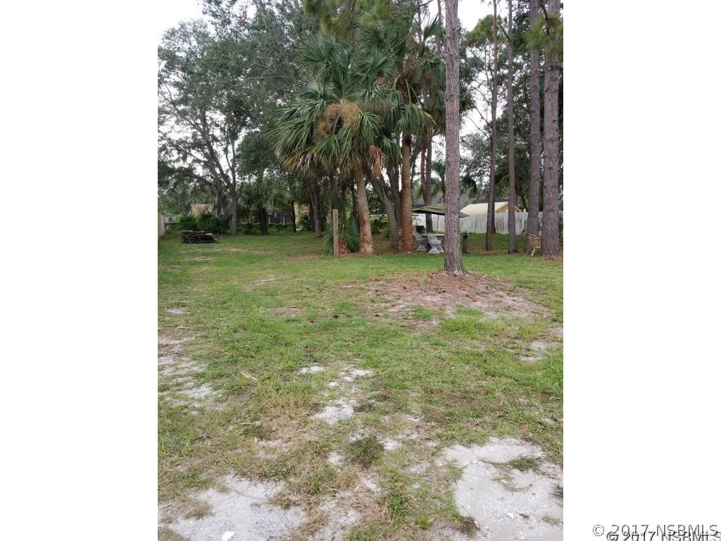 Date Palm Dr., Edgewater, FL 32141