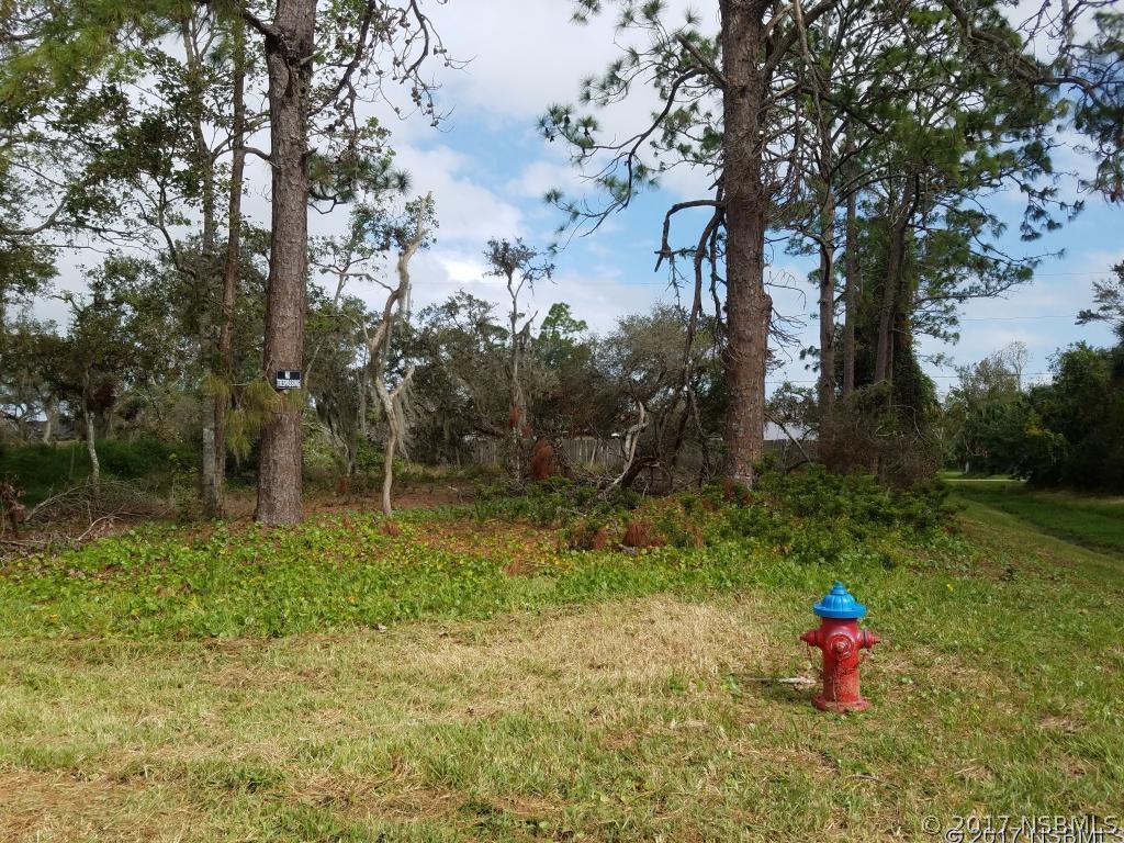 2727 Woodland Dr., Edgewater, FL 32141
