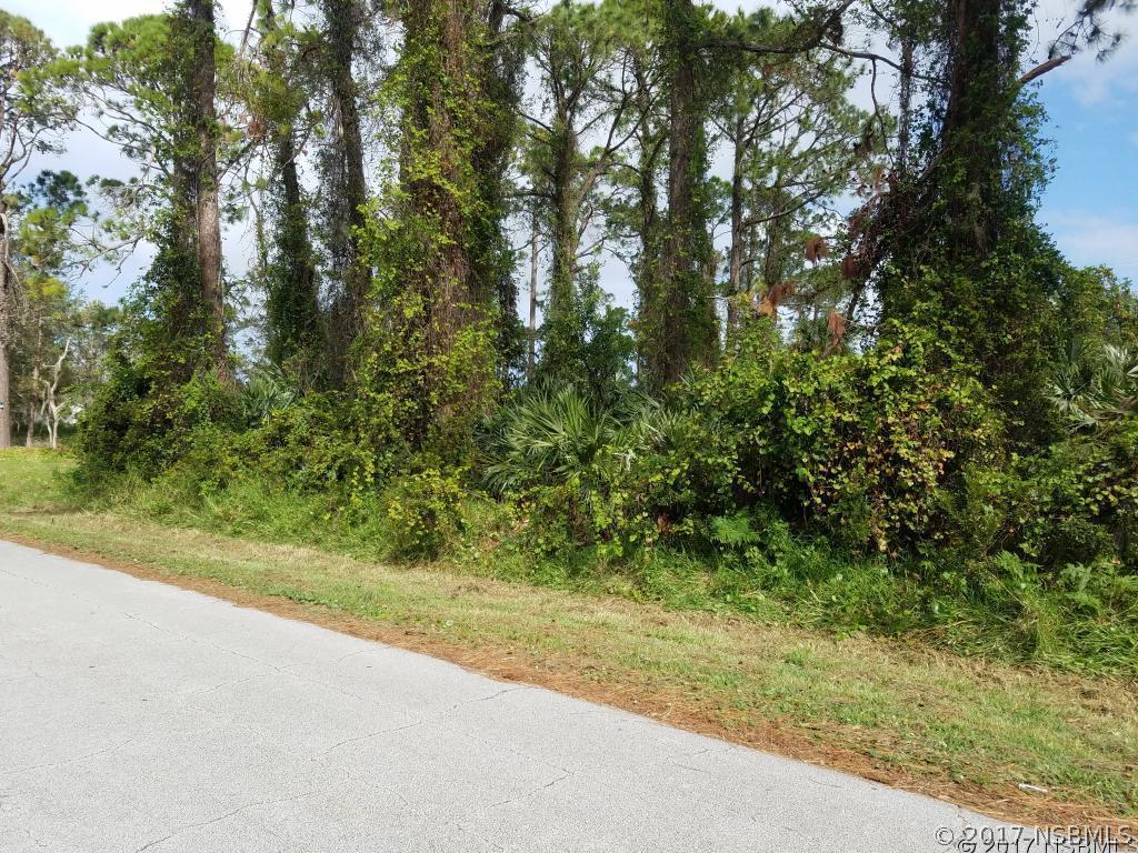 2803 Woodland Dr., Edgewater, FL 32141