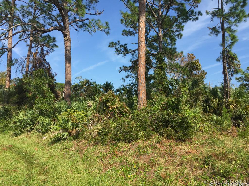 3317 Unity Tree Dr., Edgewater, FL 32141