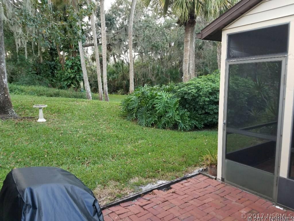 369 Castlewood Ln., New Smyrna Beach, FL 32168