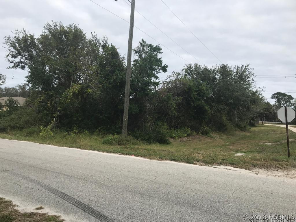 India Palm Dr., Edgewater, FL 32141