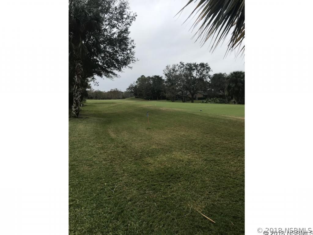 1102 Loch Lomond Ct., New Smyrna Beach, FL 32168