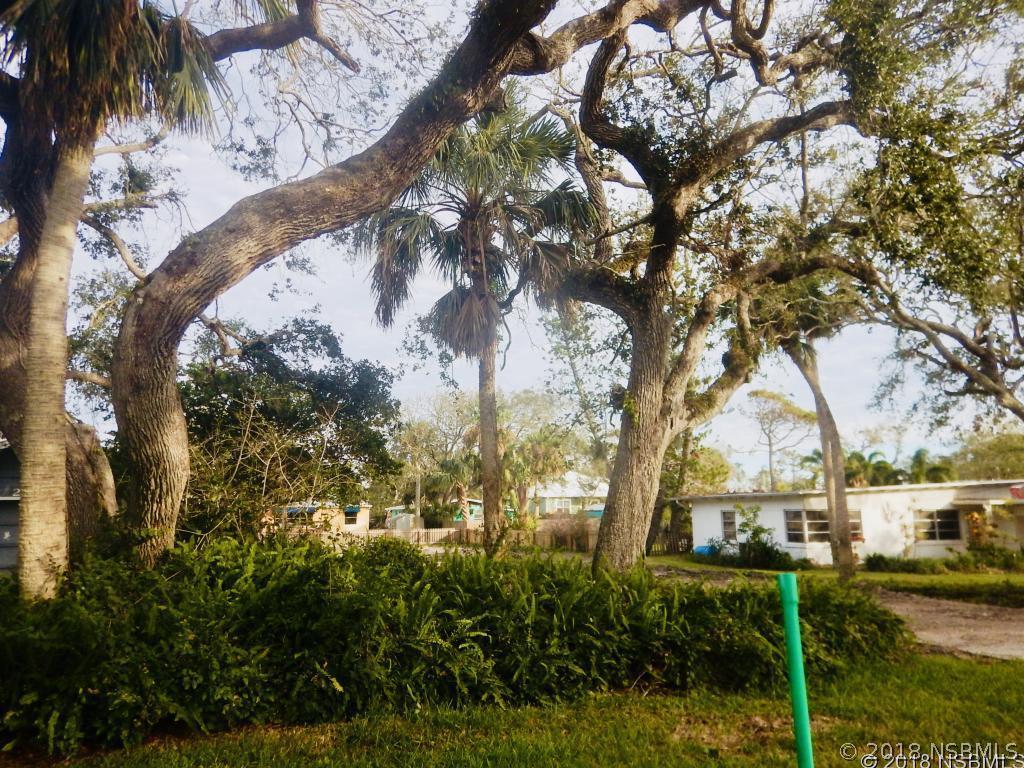 209 Canova Dr., New Smyrna Beach, FL 32169