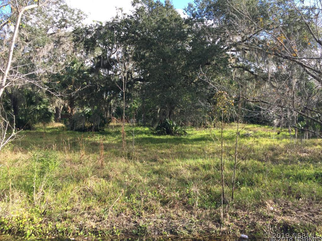 1249 Elizabeth St., New Smyrna Beach, FL 32168