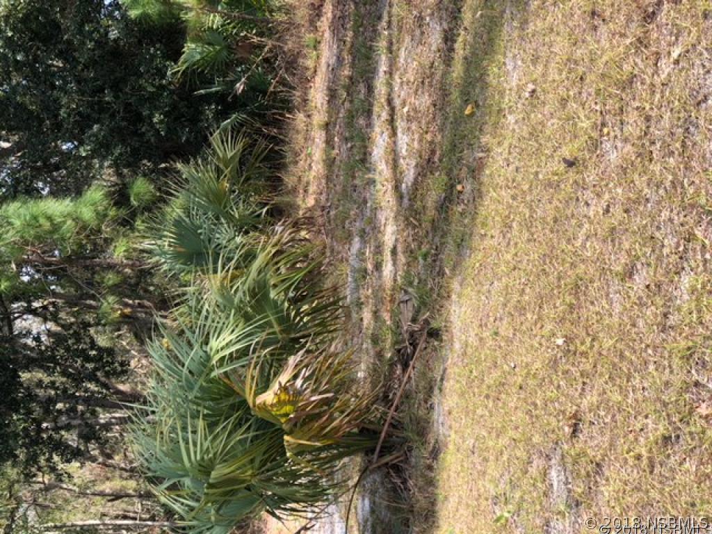 Nancy St., Oak Hill, FL 32759