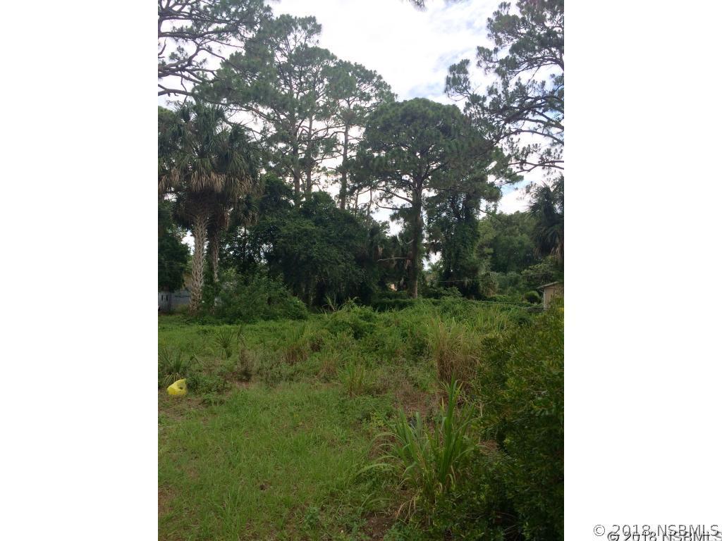 2814 India Palm Dr., Edgewater, FL 32141