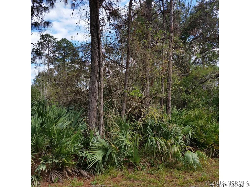 625 Volco Rd., Edgewater, FL 32141